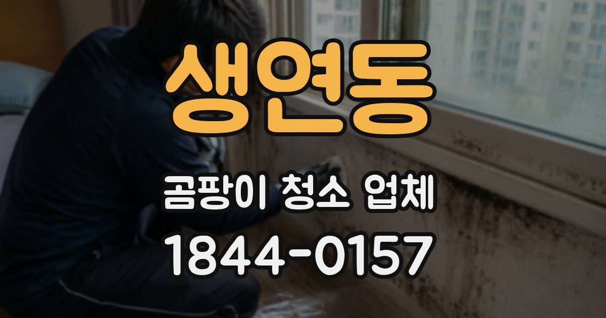 생연동 곰팡이 청소 업체