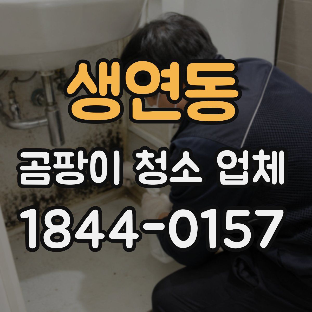 생연동 곰팡이 청소 업체