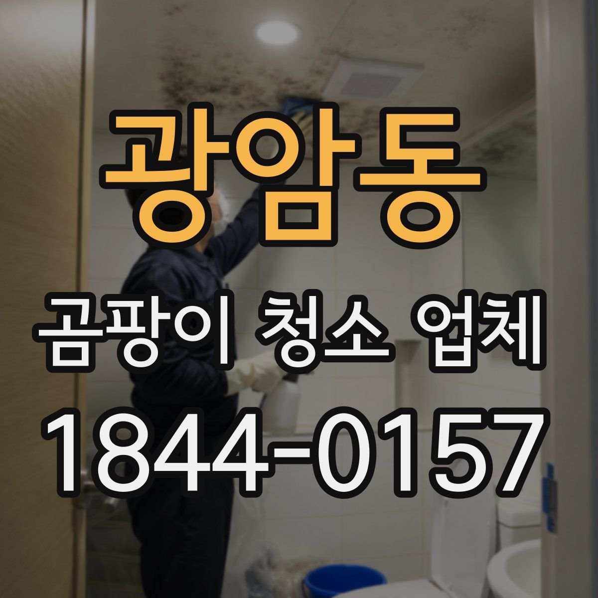광암동 곰팡이 청소 업체
