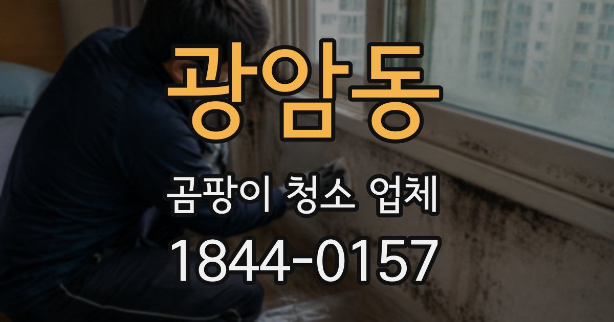 광암동 곰팡이 청소 업체
