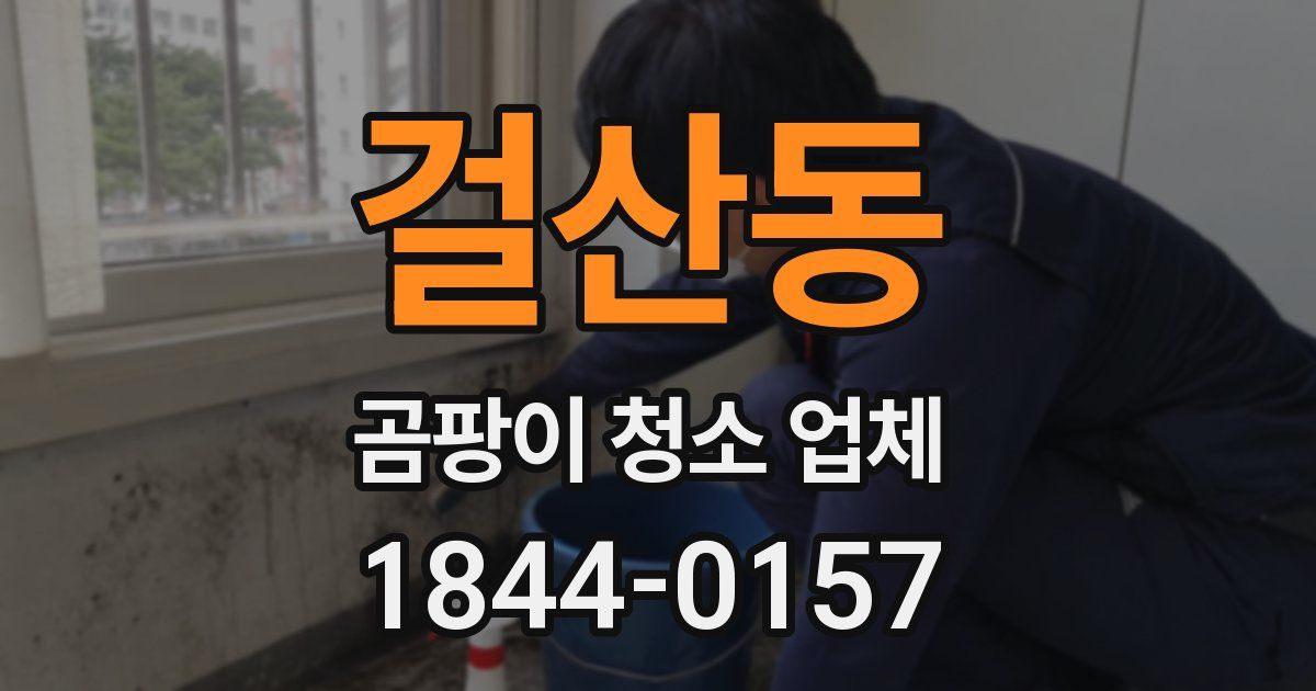 걸산동 곰팡이 청소 업체