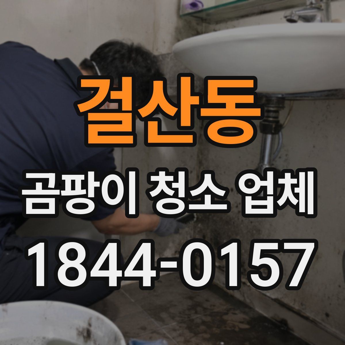 걸산동 곰팡이 청소 업체