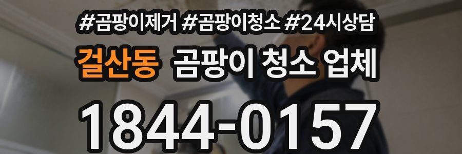 걸산동 곰팡이 청소 업체