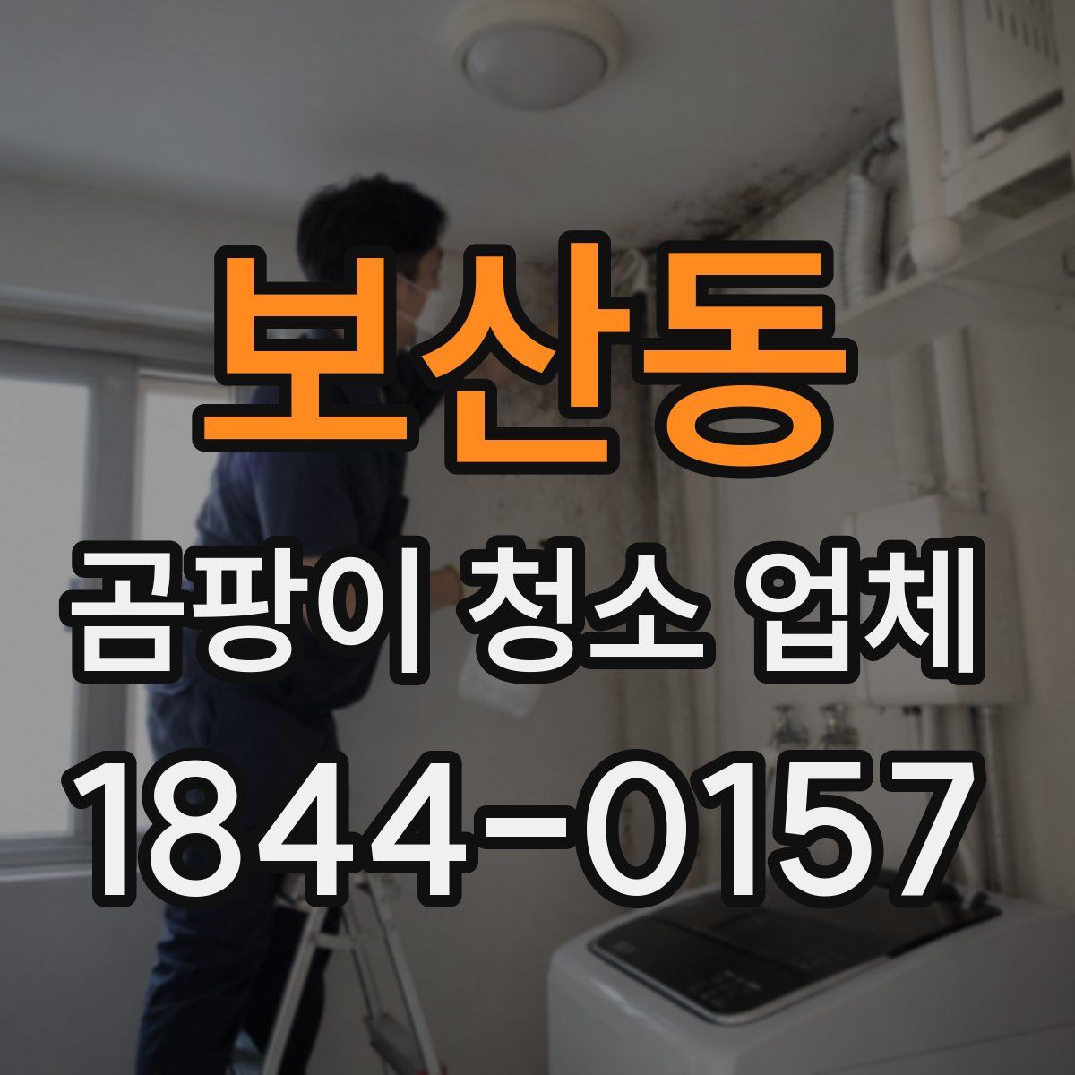 보산동 곰팡이 청소 업체