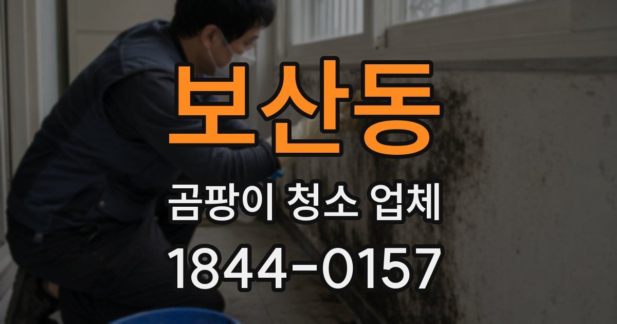 보산동 곰팡이 청소 업체