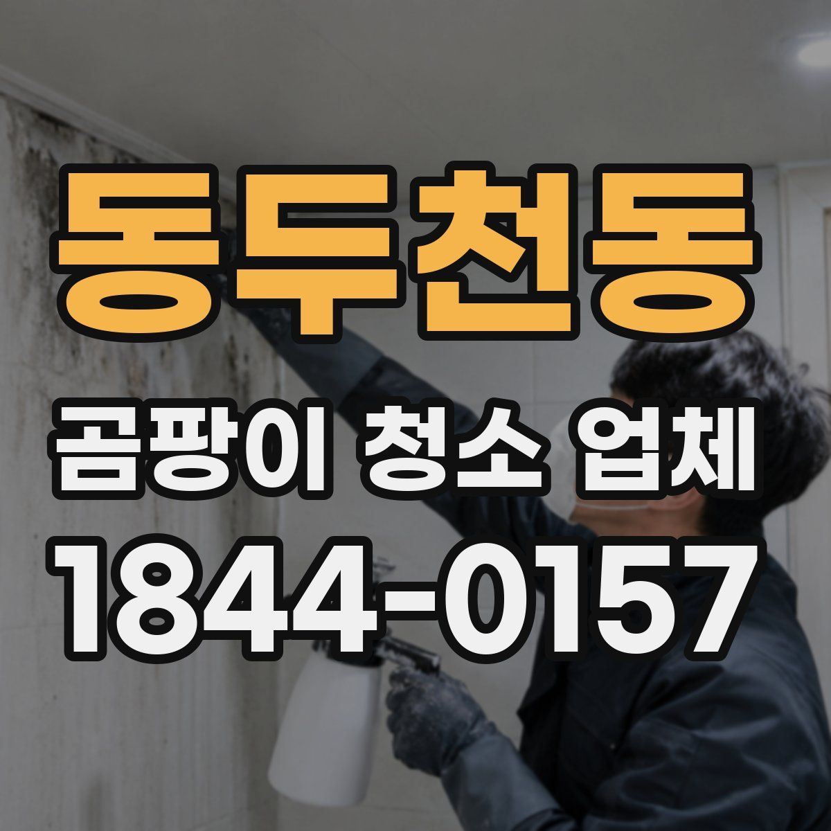 동두천동 곰팡이 청소 업체