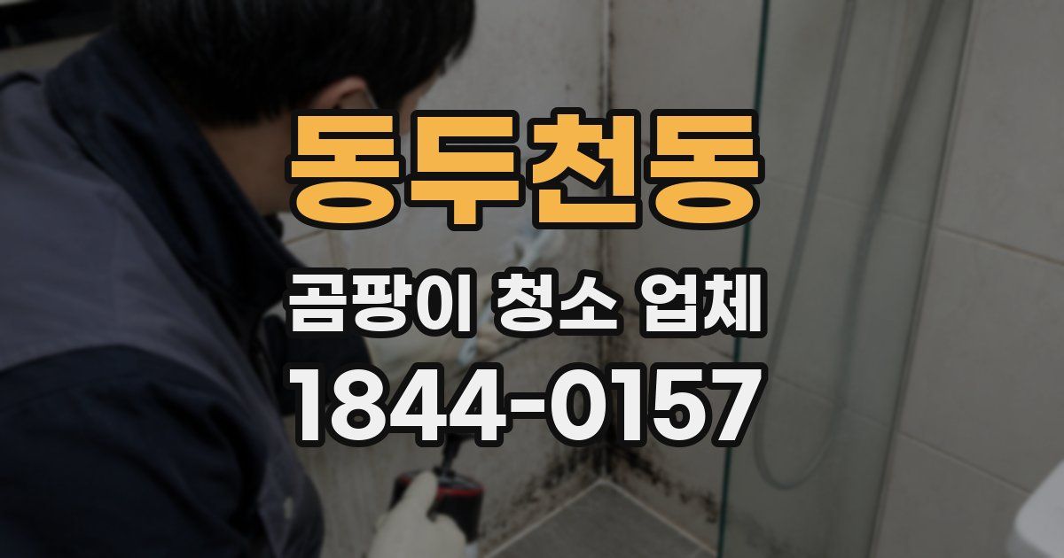 동두천동 곰팡이 청소 업체