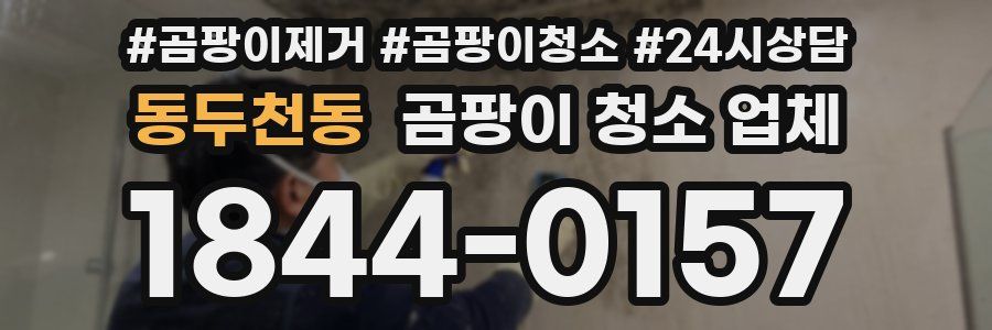 동두천동 곰팡이 청소 업체