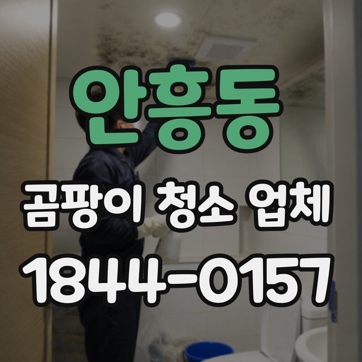 안흥동 곰팡이 청소 업체