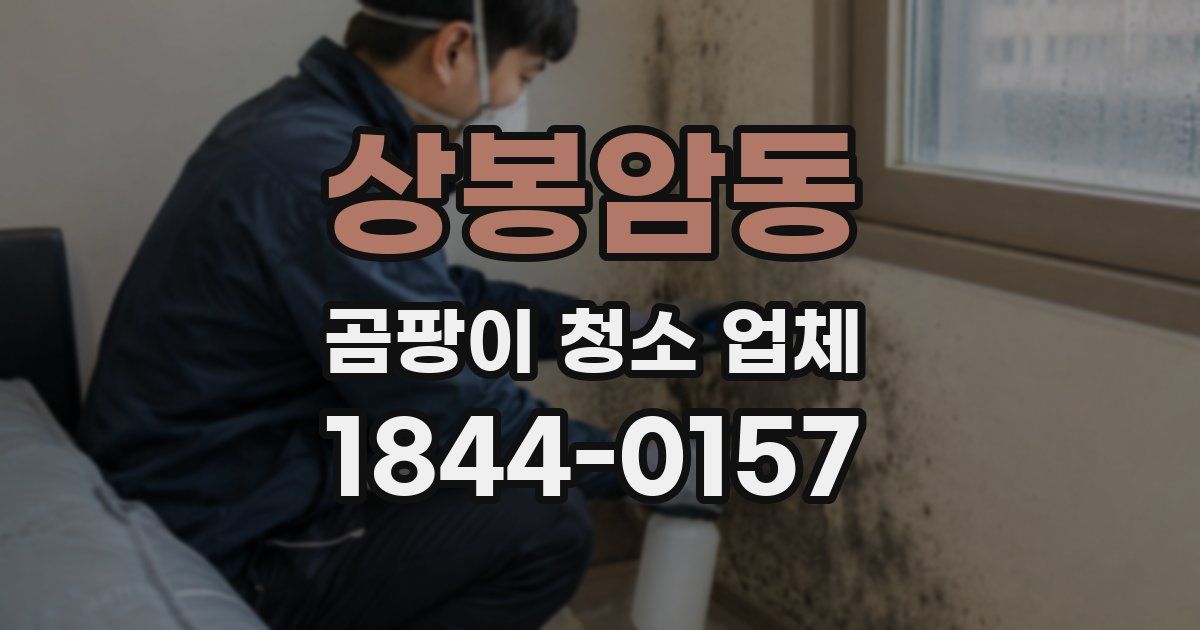 상봉암동 곰팡이 청소 업체