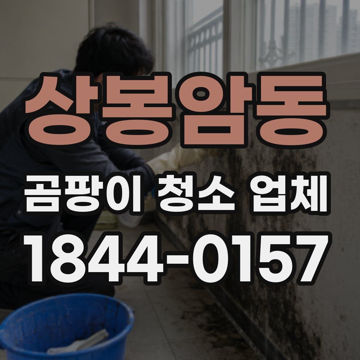 상봉암동 곰팡이 청소 업체