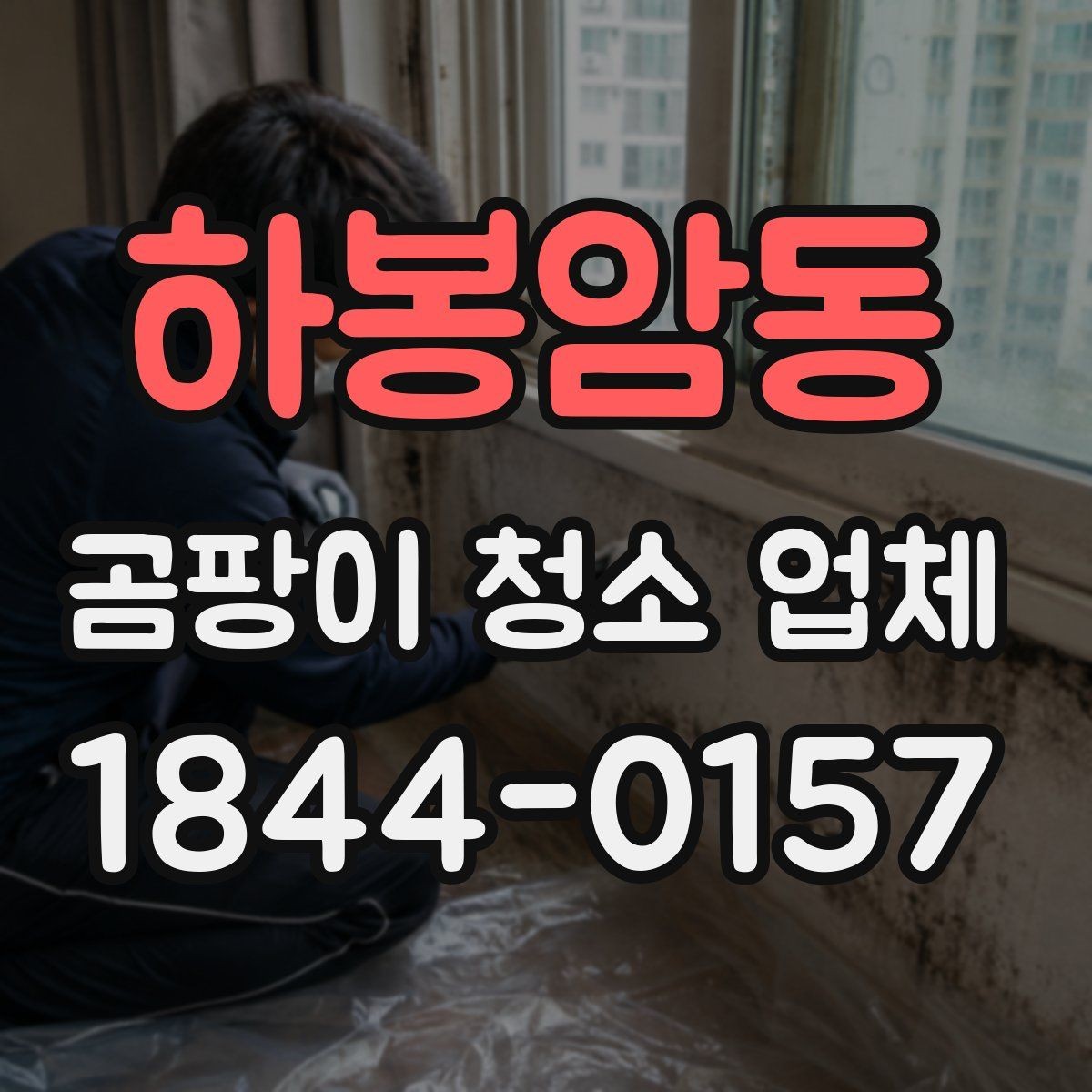 하봉암동 곰팡이 청소 업체 장비 선택에 따라 달라지는 처리 결과