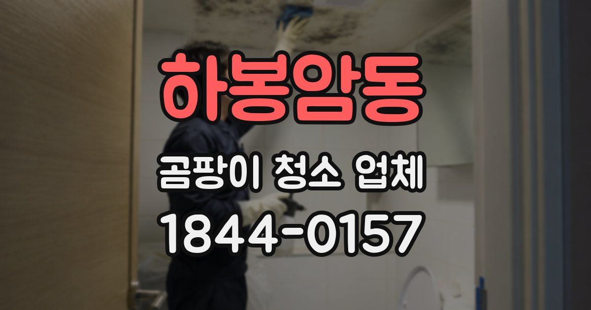 하봉암동 곰팡이 청소 업체