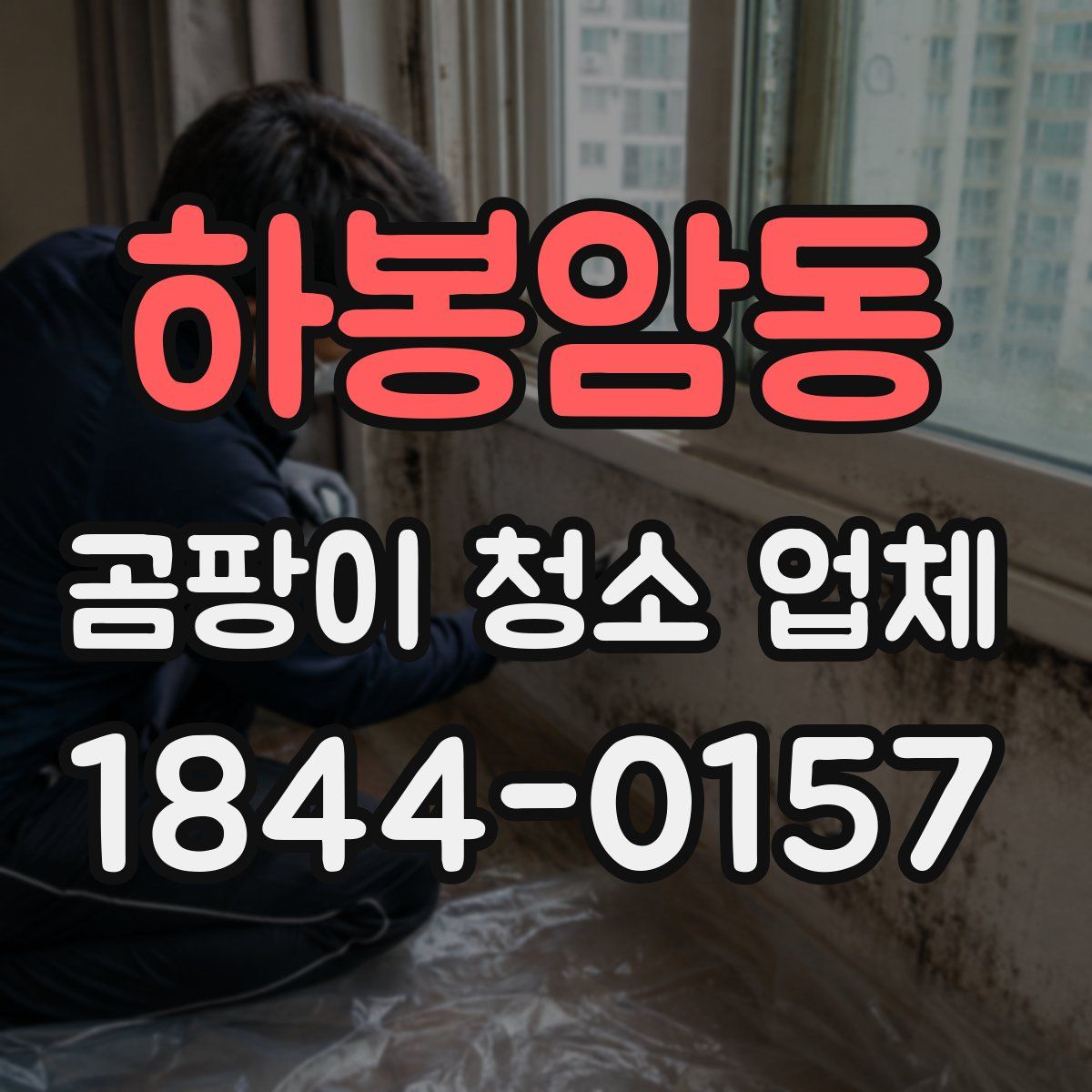 하봉암동 곰팡이 청소 업체