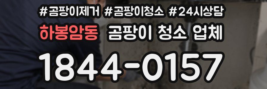 하봉암동 곰팡이 청소 업체
