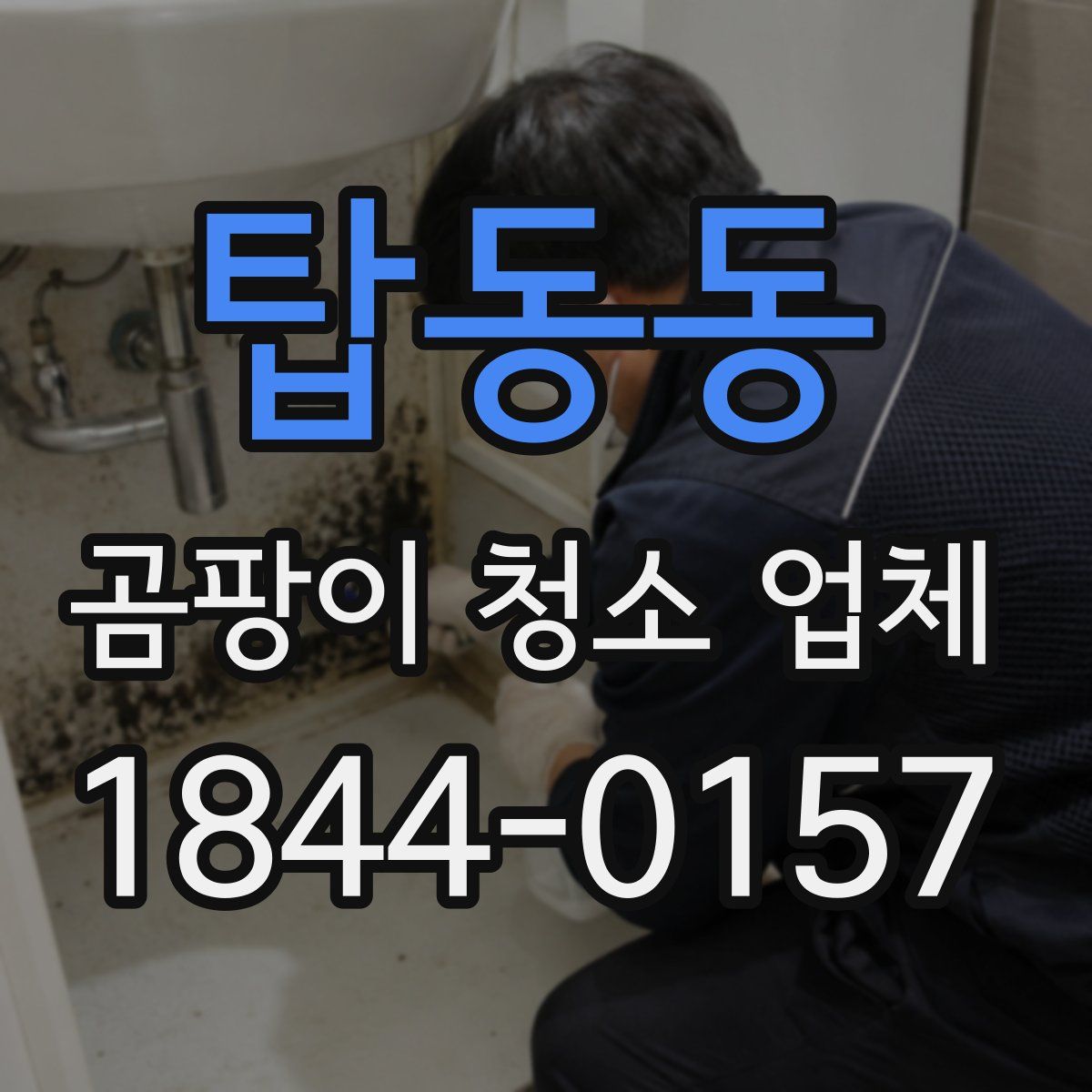 탑동동 곰팡이 청소 업체