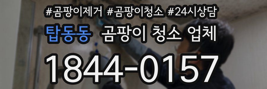 탑동동 곰팡이 청소 업체