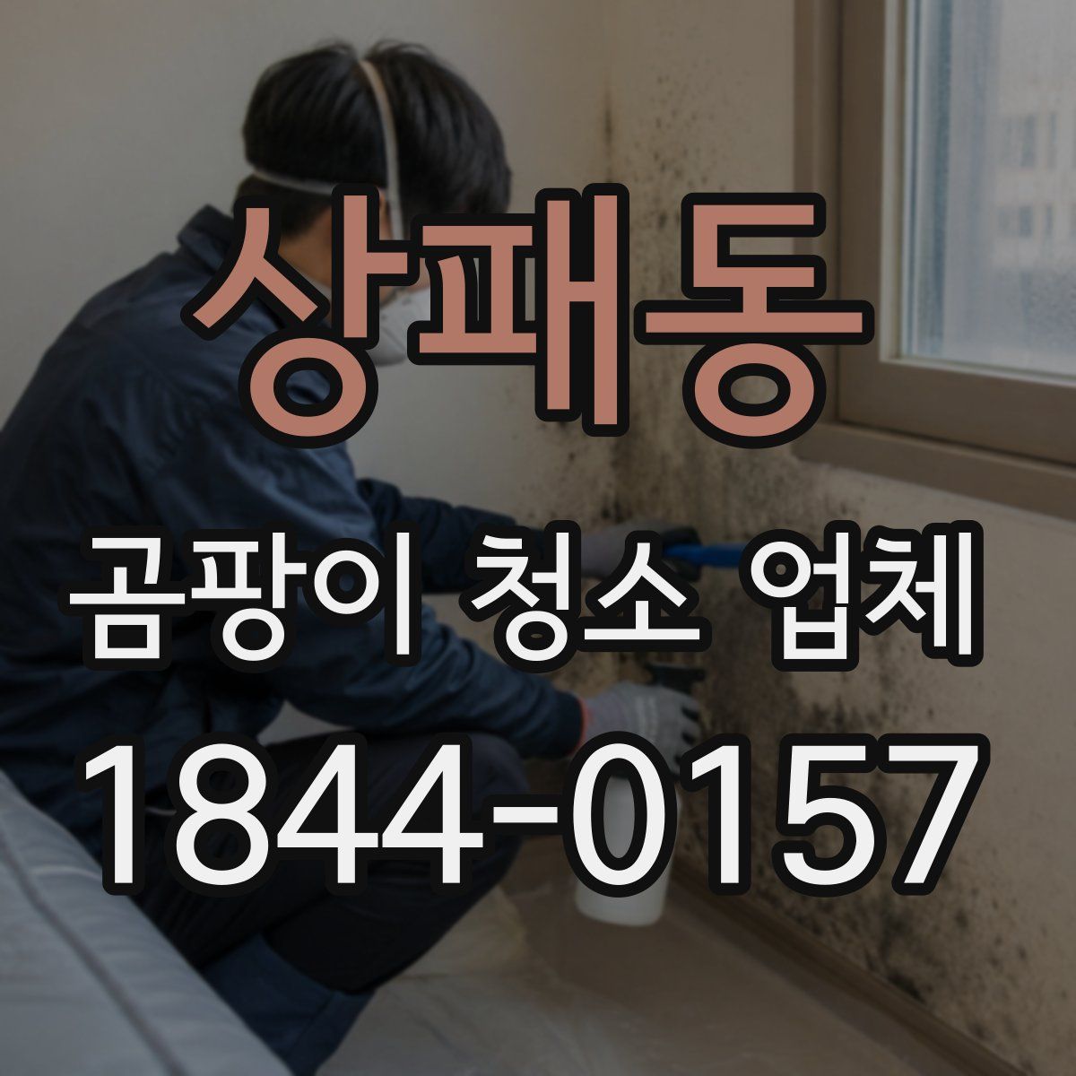 상패동 곰팡이 청소 업체