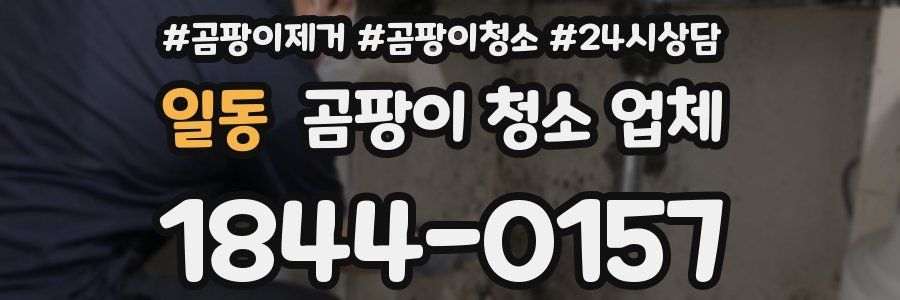 일동 곰팡이 청소 업체