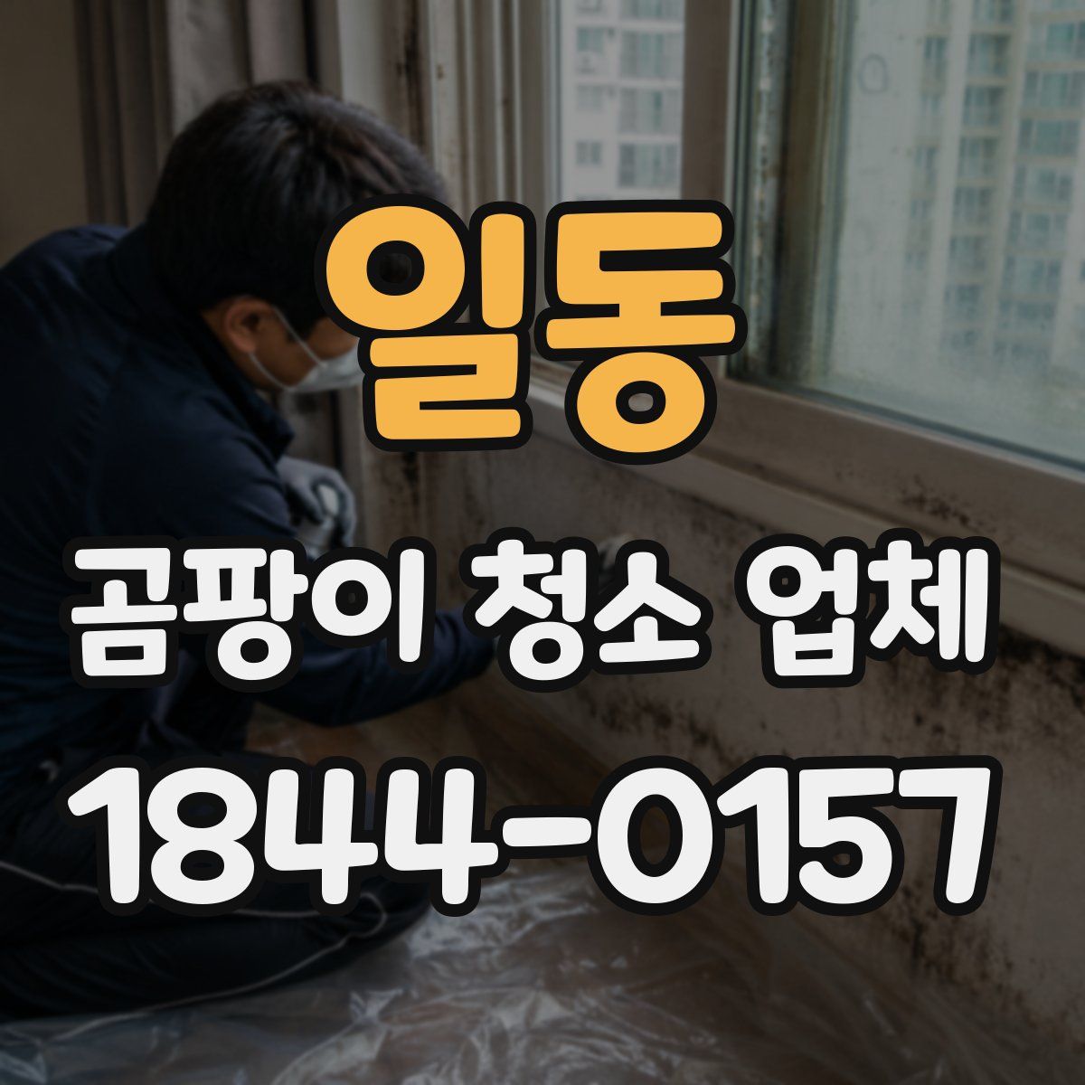 일동 곰팡이 청소 업체