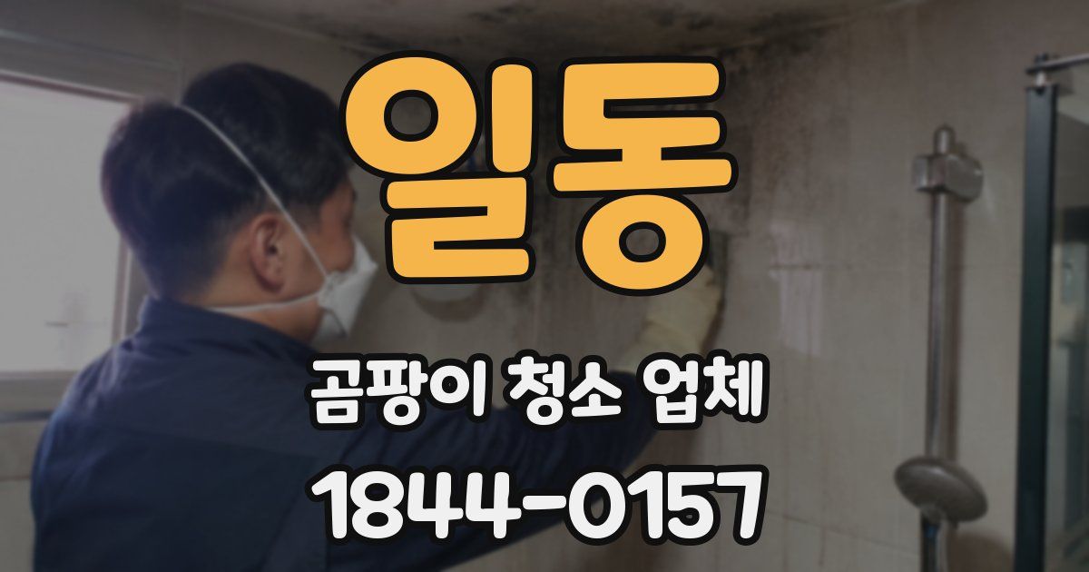 일동 곰팡이 청소 업체