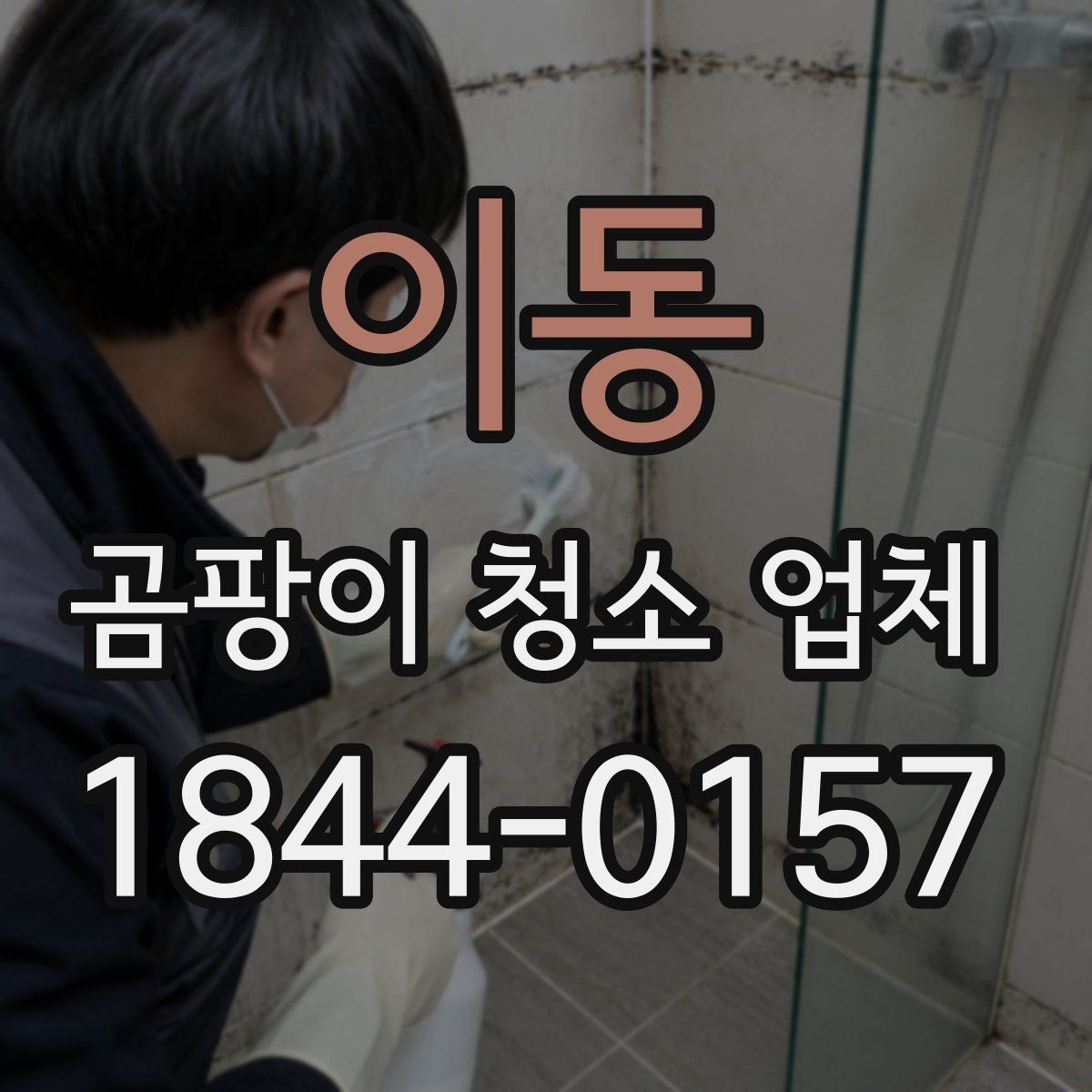 이동 곰팡이 청소 업체 현장 사진으로 확인하는 작업 전 상태
