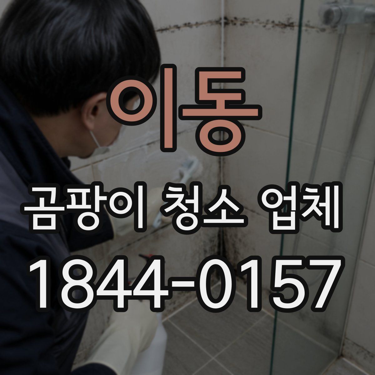 이동 곰팡이 청소 업체