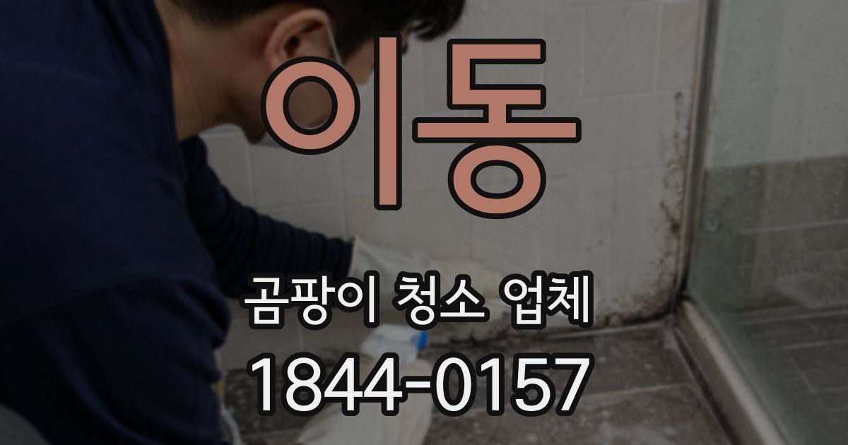 이동 곰팡이 청소 업체