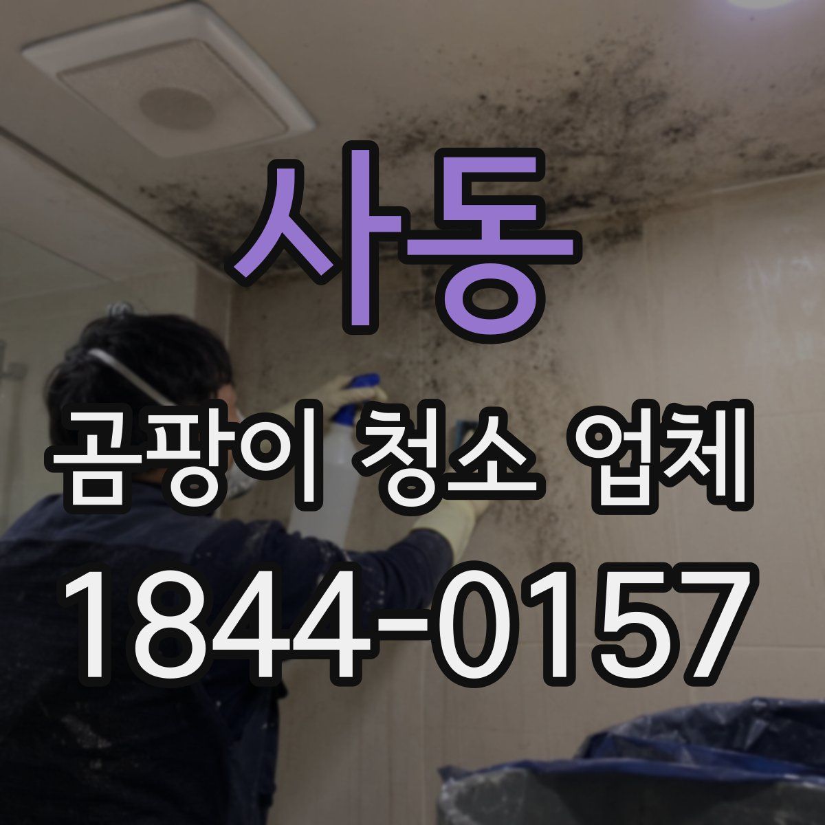 사동 곰팡이 청소 업체