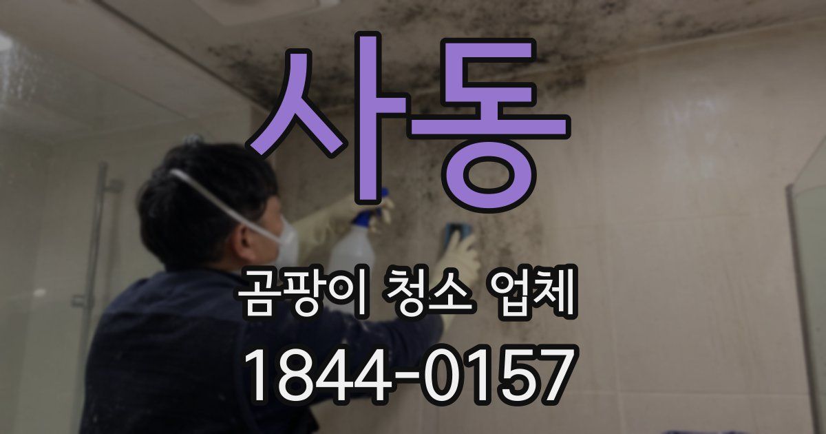 사동 곰팡이 청소 업체