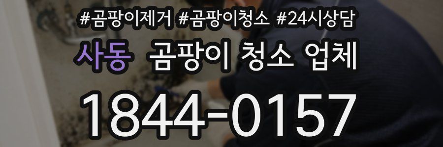 사동 곰팡이 청소 업체