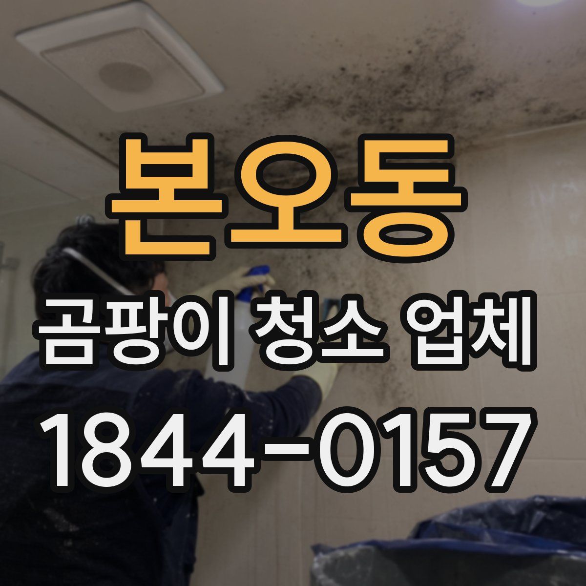 본오동 곰팡이 청소 업체