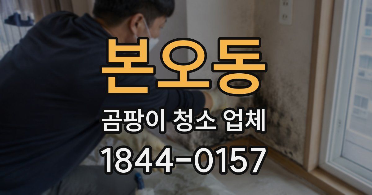 본오동 곰팡이 청소 업체