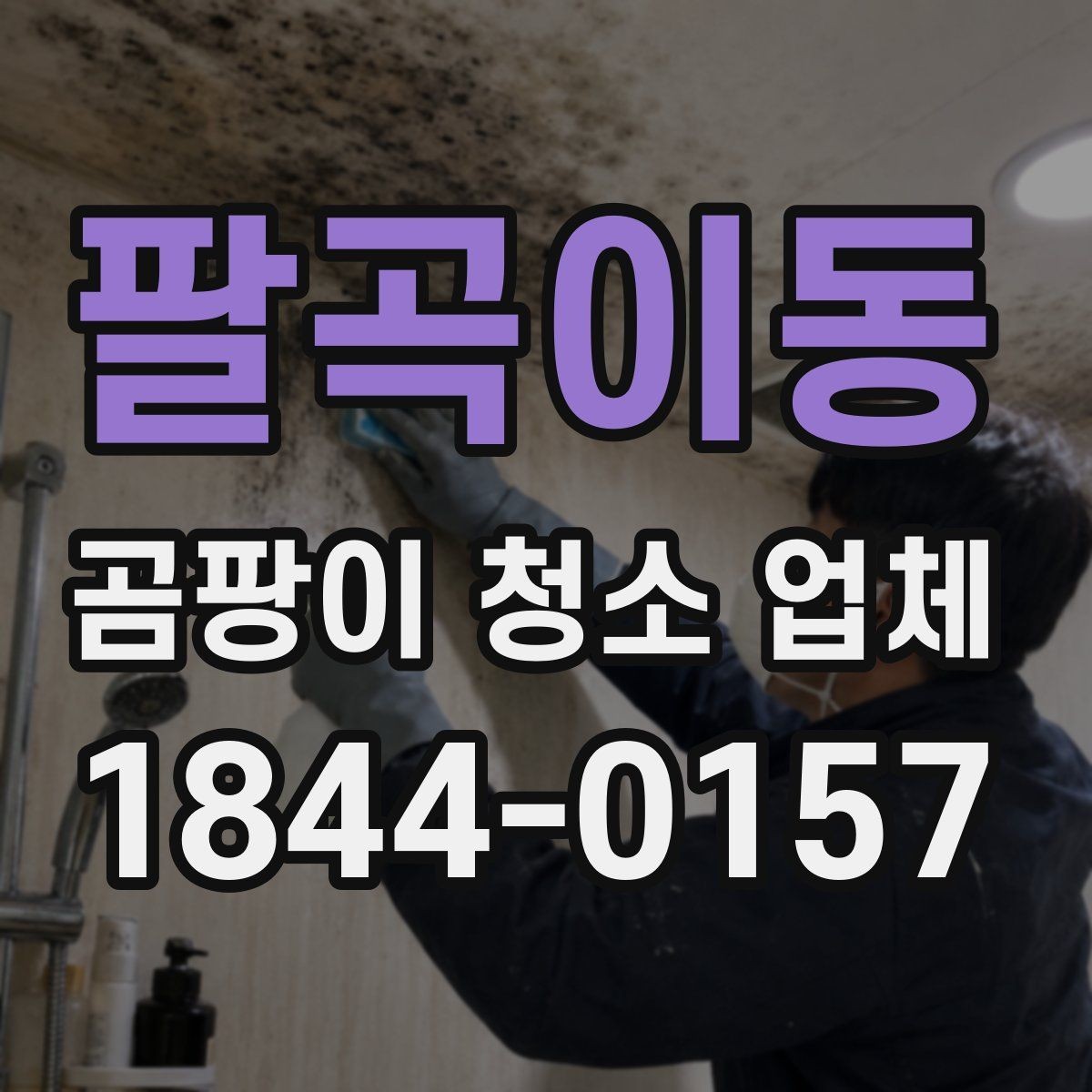 팔곡이동 곰팡이 청소 업체 벽 뒤와 가구 뒤 숨은 오염까지 살피는 이유