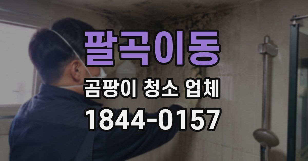 팔곡이동 곰팡이 청소 업체