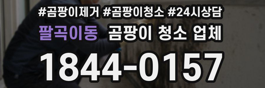 팔곡이동 곰팡이 청소 업체