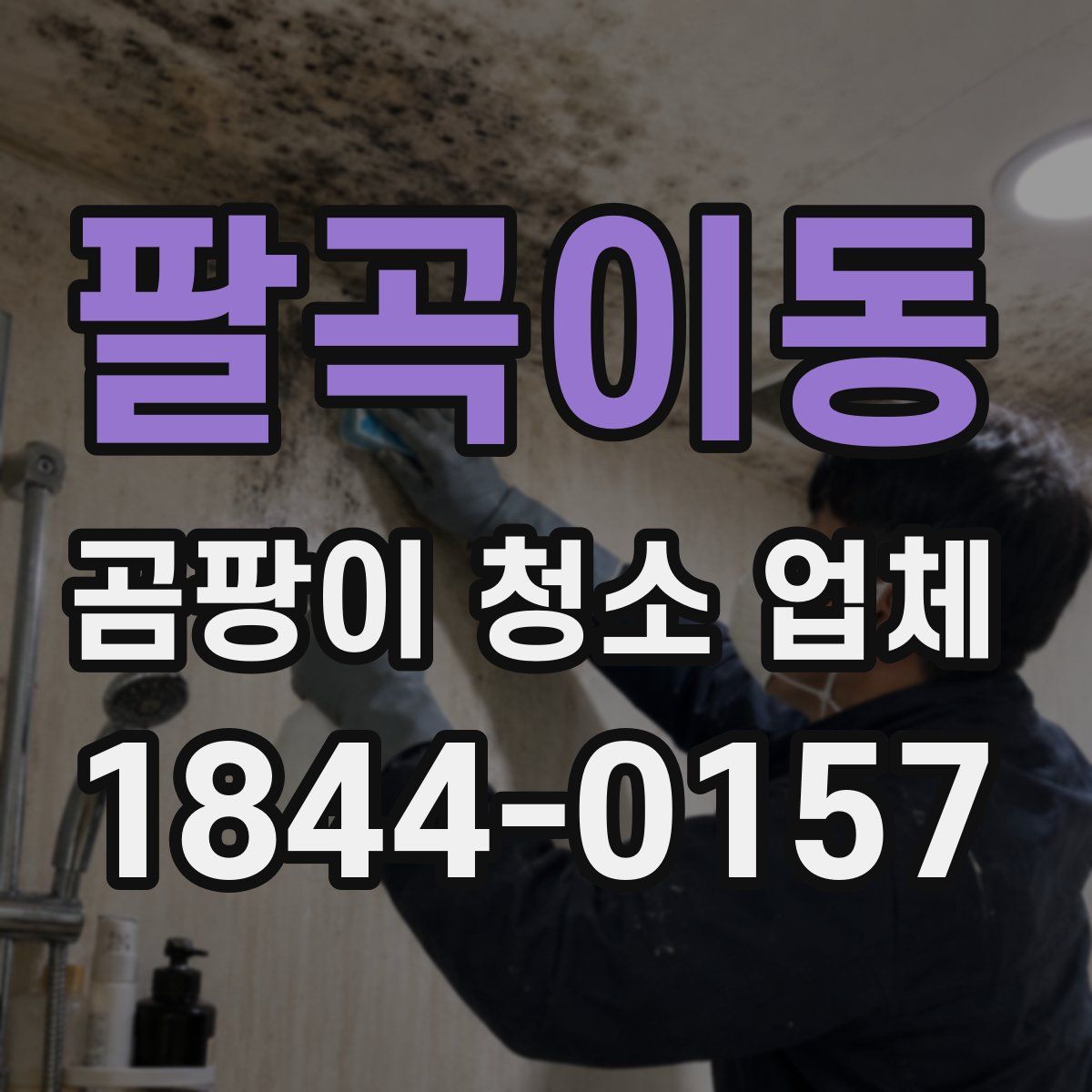 팔곡이동 곰팡이 청소 업체