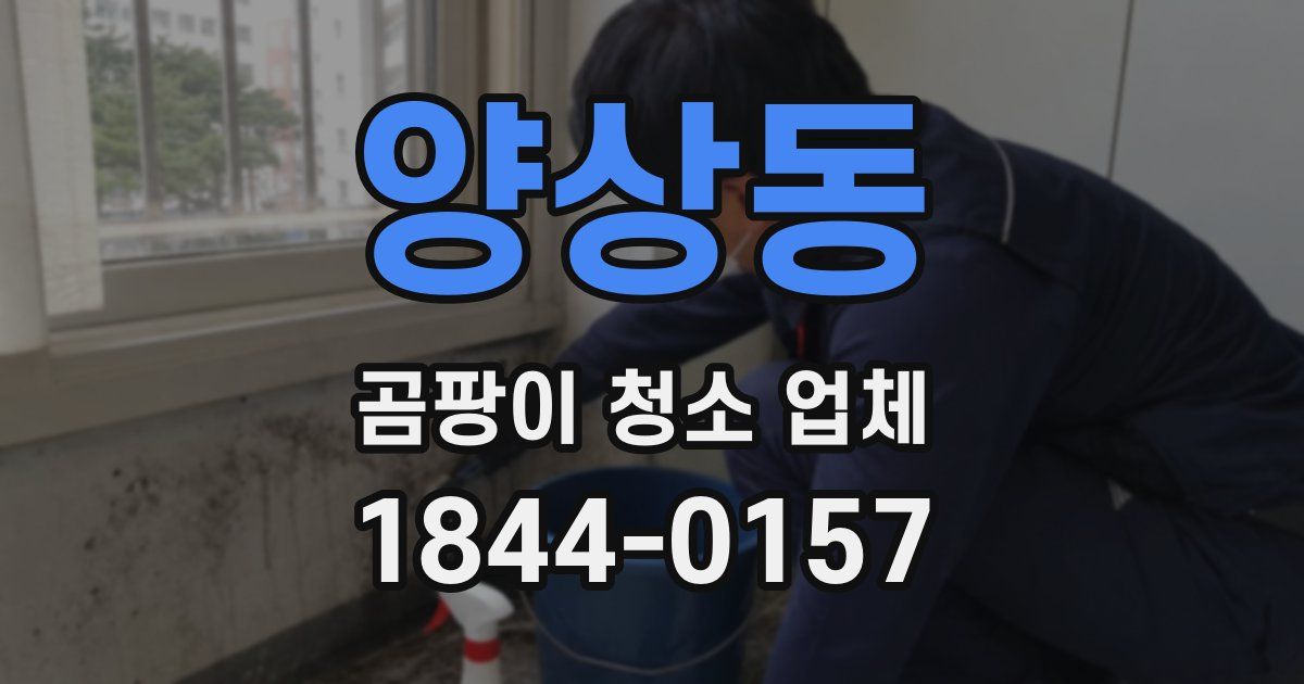 양상동 곰팡이 청소 업체