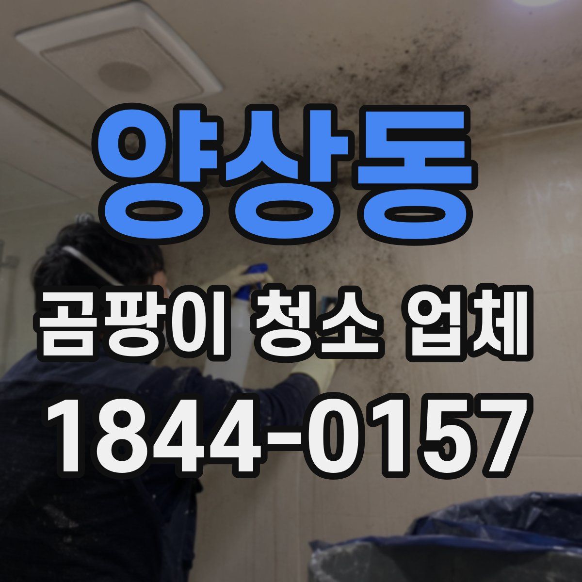 양상동 곰팡이 청소 업체