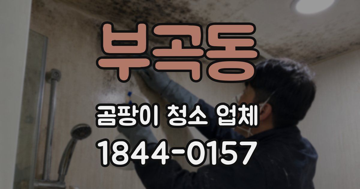 부곡동 곰팡이 청소 업체