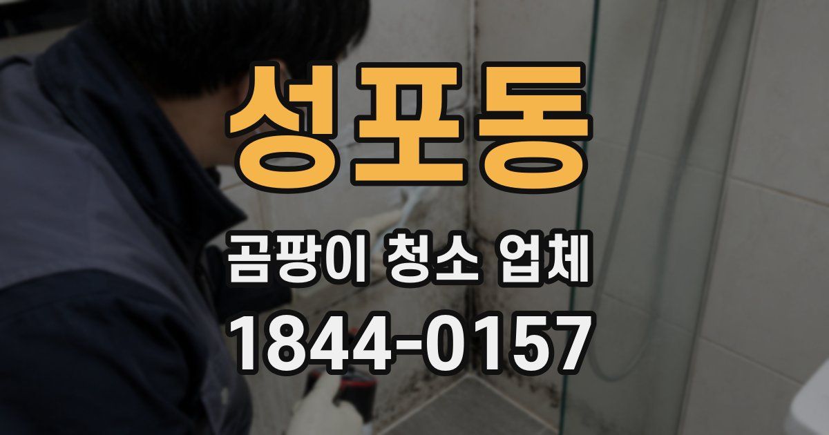 성포동 곰팡이 청소 업체