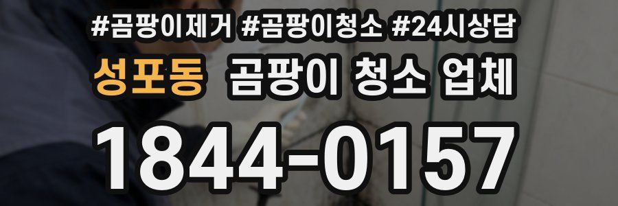 성포동 곰팡이 청소 업체