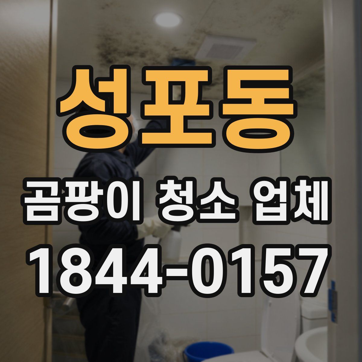 성포동 곰팡이 청소 업체