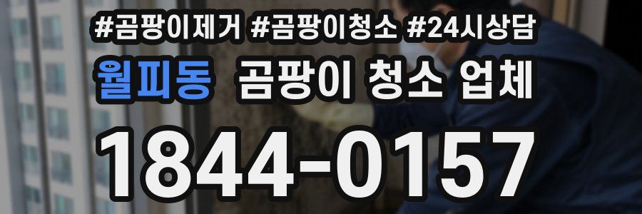 월피동 곰팡이 청소 업체