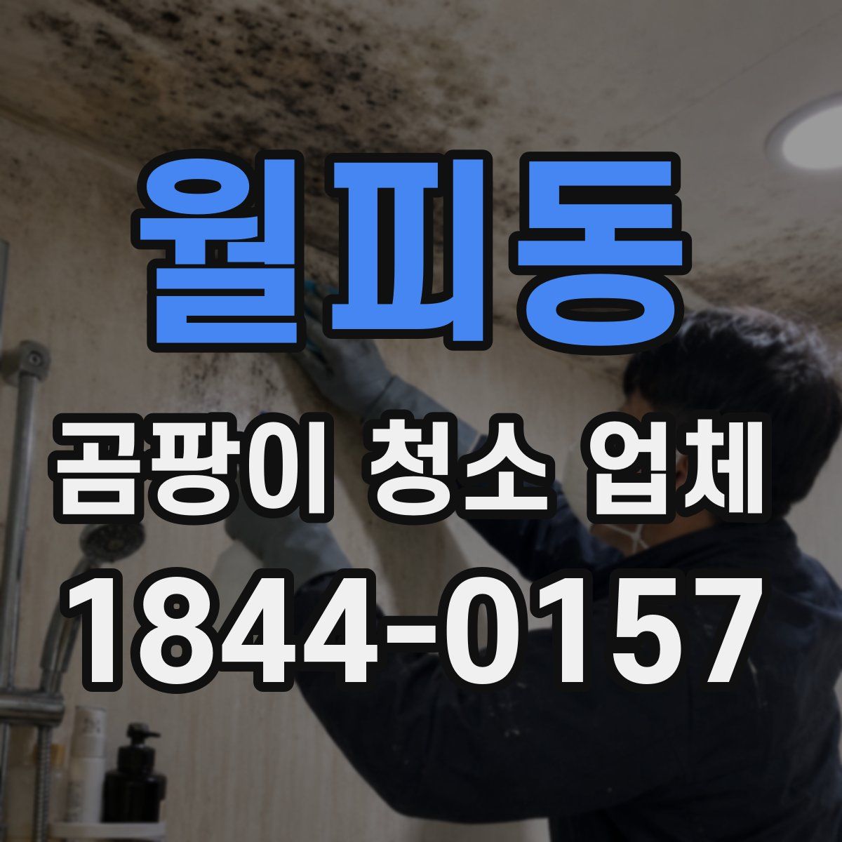 월피동 곰팡이 청소 업체