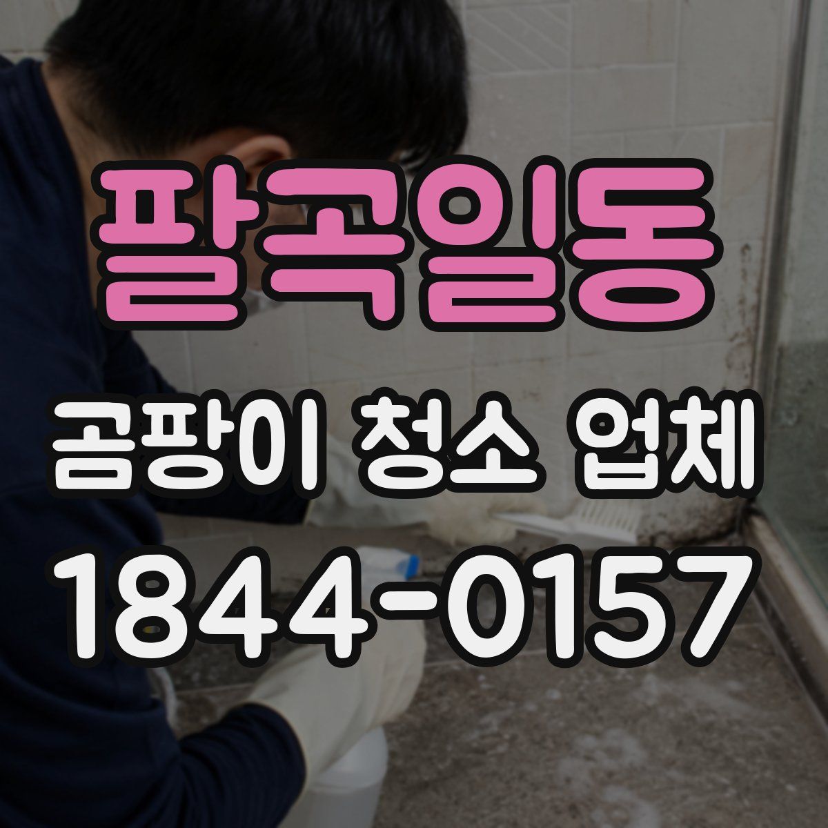 팔곡일동 곰팡이 청소 업체