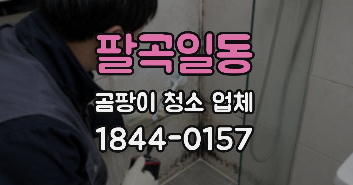 팔곡일동 곰팡이 청소 업체