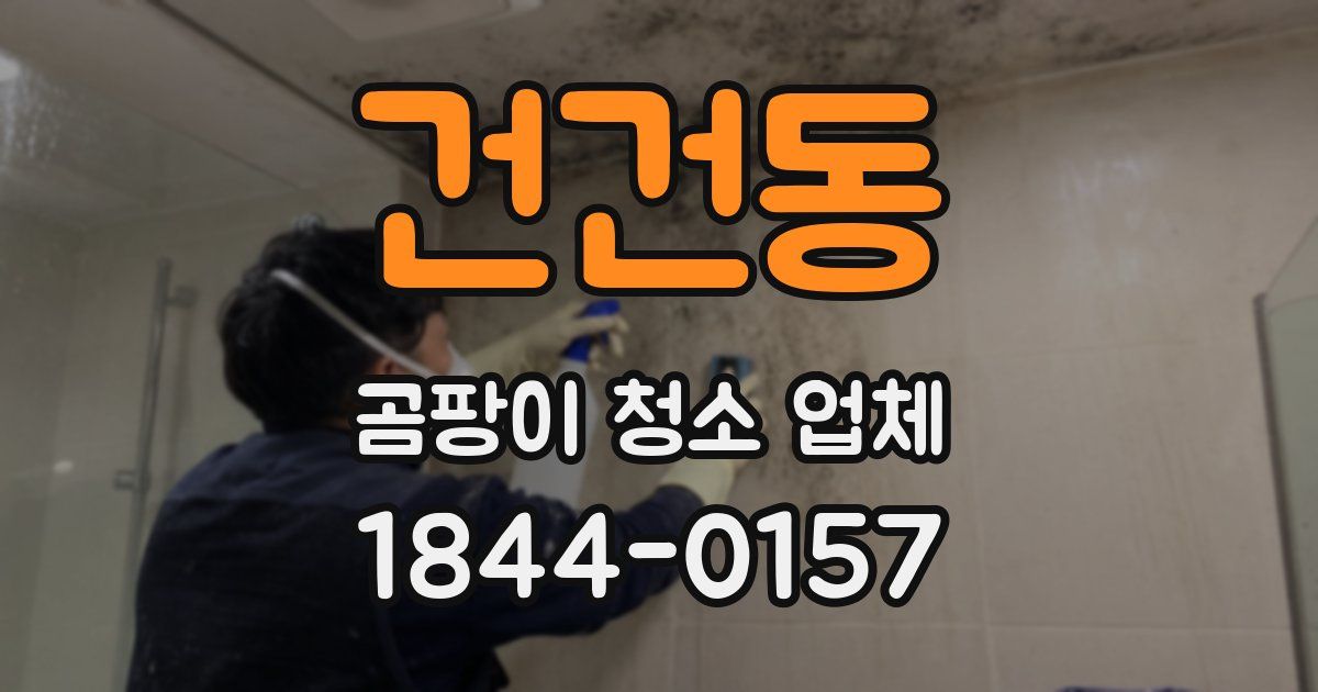 건건동 곰팡이 청소 업체