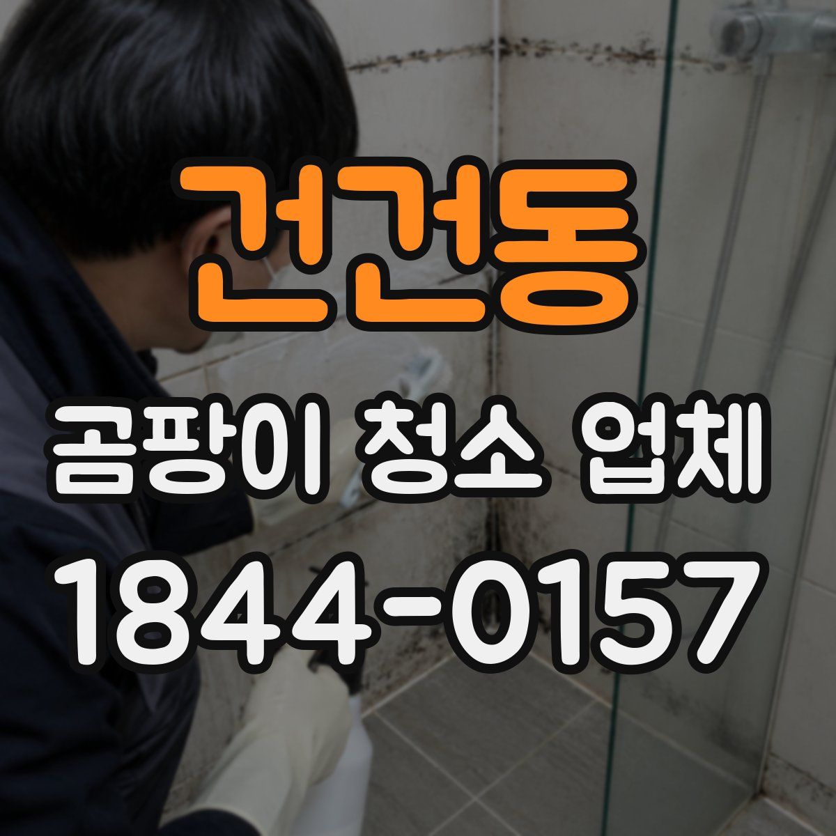 건건동 곰팡이 청소 업체