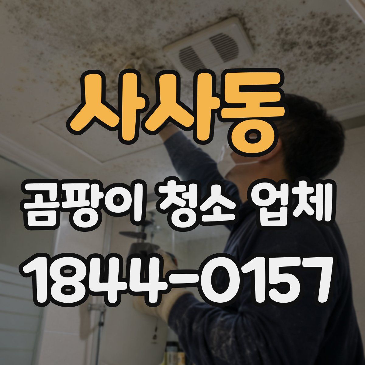 사사동 곰팡이 청소 업체